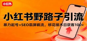小红书野路子引流，暴力起号+SEO霸屏截流，移花接木日获客100+-世康聊项目