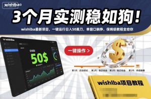 3个月实测稳如狗！wishlba最新项目，一键运行日入50美刀，单窗口躺挣，保姆级教程全给你【揭秘】-世康聊项目