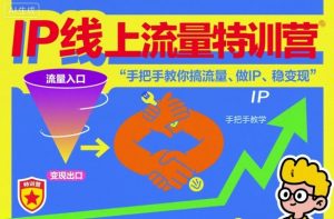 IP线上流量特训营，手把手教你搞流量、做IP、稳变现-世康聊项目