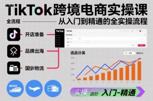 TikTok跨境电商实操课，从入门到精通的全实操流程-世康聊项目