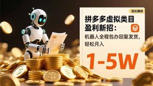 拼多多虚拟类目盈利新招:机器人全程包办回复发货,轻松月入 1-5W-世康聊项目