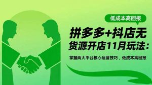 拼多多+抖店无货源开店11月玩法:掌握两大平台核心运营技巧,低成本高回报-世康聊项目