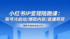 小红书IP变现陪跑课:账号冷启动/爆款内容/直播带货,单账号最高收益2万+-世康聊项目
