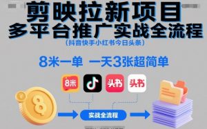 剪映拉新项目多平台推广实战全流程(抖音快手小红书今日头条),8米一单,一天3张超简单-世康聊项目