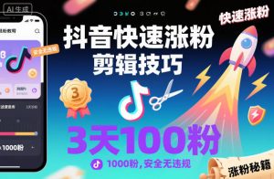 抖音快速涨粉剪辑技巧,3天1000粉,安全无违规-世康聊项目
