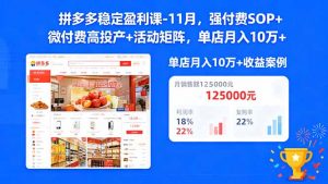 拼多多稳定盈利课-11月,强付费SOP+微付费高投产+活动矩阵,单店月入10w+-世康聊项目