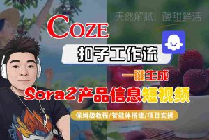 Coze扣子智能体工作流一键生成“SORA2产品信息“短视频，全流程保姆级教学-世康聊项目