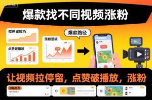 爆款找不同视频涨粉,让视频拉停留,实现点赞,破播放,涨粉-世康聊项目