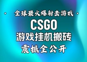 【年底大揭秘】基于全球最火爆的射击CSGO游戏挂G搬砖,日入5张+,震撼公开-世康聊项目
