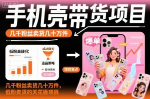 手机壳带货项目,几千粉丝卖货几十万件,短视频低粉卖货的天花板项目-世康聊项目