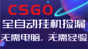 【副业好项目】全球火爆游戏CSGO自动捡漏，新手小白日入500+-世康聊项目