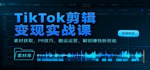 TikTok剪辑变现实战课：素材获取，PR技巧，搬运运营，解锁赚钱新技能-世康聊项目