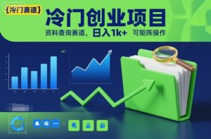 冷门创业项目,资料查询赛道,日入1k+,可矩阵操作-世康聊项目