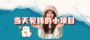 当天能收益的3个小项目拆解_包括平台+操作流程-世康聊项目