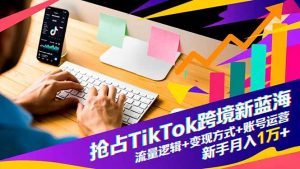 抢占TikTok跨境新蓝海:流量逻辑+变现方式+账号运营,新手月入1万+-世康聊项目