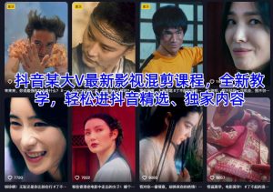 抖音某大V最新影视混剪课程,全新教学,轻松进抖音精选、独家内容-世康聊项目