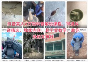 抖音某大V万物科普解说课程,可进抖音精选,独家内容,超干货教学,助你涨粉又賺钱-世康聊项目