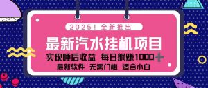 2025最新汽水音乐挂机项目 每天几分钟 轻松上w-世康聊项目