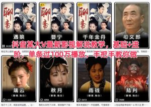 抖音某大V最新影视解说教学,基础+进阶,单条过100万播放,手把手教你做-世康聊项目