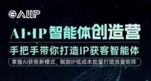 AI·IP智能体创造营，手把手带你打造IP获客智能体，高成交创始人IP课-世康聊项目