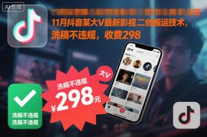 11月抖音某大V最新影视二创搬运技术，洗稿不违规，收费298-世康聊项目