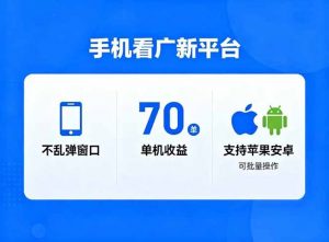 看广新平台，不乱弹窗口，单机做到了70加，支持苹果和安卓可批量，做到了日入1万+-世康聊项目