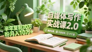 自媒体写作实战课2.0，爆款标题、内容结构、IP打造，半年复制30万粉月入10万+-世康聊项目