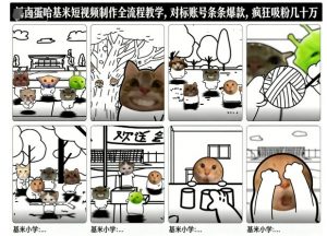 卤蛋哈基米短视频制作全流程教学,条条爆款,疯狂吸粉几十万-世康聊项目