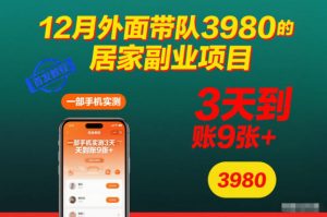 12月外面带队3980的居家副业项目,一部手机实测3天到账9张+,首发教程【揭秘】-世康聊项目