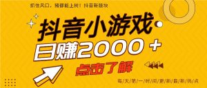 5年爆火的抖音小游戏项目，一部手机日入2000+-世康聊项目