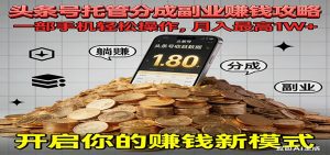 全程托管今日头条,一部手机就可以开干,最高躺赚1W+-世康聊项目