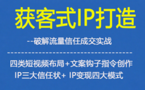 获客型IP打造,破解流量信任成,四类短视频布局+文案钩子指令创作IP三大信任状+IP变现四大模式-世康聊项目