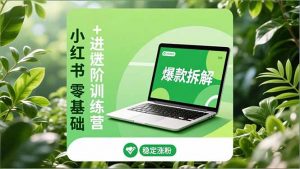 小红书零基础+高阶训练营：安全养号、爆款拆解、长效运营，实现稳定涨粉与变现-世康聊项目