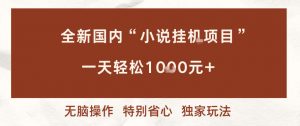 全新国内小说挂G项目,多窗口无脑跑,一天轻松1k+,特别省心【揭秘】-世康聊项目