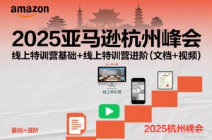 2025亚马逊杭州峰会,线上特训营基础+线上特训营进阶(文档+视频)-世康聊项目