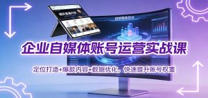 企业自媒体账号运营实战课：定位打造+ 爆款内容+数据优化，快速提升账号权重-世康聊项目