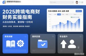 2025跨境电商财务实操指南，从后台到账本，算清每一分利润，系统讲解-案例实操-专业提升-世康聊项目
