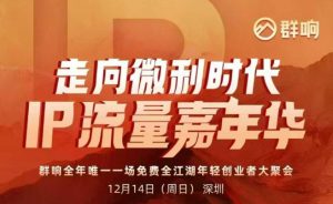 2025ip嘉年华万人12月14深圳线下课，走向微利时代，IP流量嘉年华，实操性极强的商业干货课-世康聊项目