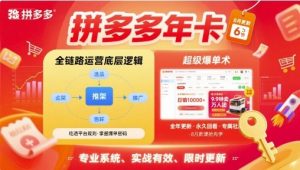 拼多多年卡，拼多多全链路运营底层逻辑，超级爆单术【更新12月】-世康聊项目