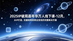 2025IP破局嘉年华万人线下课-12月，从IP打造、流量矩阵到商业变现的完整解决方案-世康聊项目