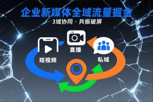 短视频全域商业模式,企业新媒体全域流量掘金,3域协同,共振破屏,短视频-直播-私域-地域-世康聊项目