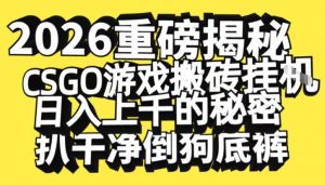 2026开年重磅解密,CSGO游戏搬砖挂G日入1k+的秘密,把倒狗的底裤扒干【揭秘】-世康聊项目