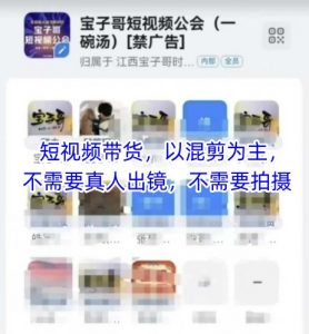 宝子哥头部团队短视频带货，以混剪为主，不需要真人出镜，不需要拍摄【更新11月】-世康聊项目