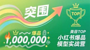 小红书爆品模型实战营，从新品突围到成为类目TOP，可复制路径，打造多个营收百万级爆品-世康聊项目