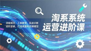 淘系系统运营进阶课2.0，流程规范、工具教学、实战诊断，进阶突破，打造高盈利店铺模型-世康聊项目