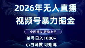 2026最新视频号无人直播掘金，全网首发，小白可以玩，长期稳定日入1k+【揭秘】-世康聊项目