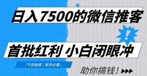 日入7500的微信推客，首批红利，自用省钱、分享赚钱，0门槛小白闭眼冲！-世康聊项目