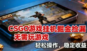 CSGO游戏挂G掘金捡漏,不需要玩游戏,操作简单,收益稳定【揭秘】-世康聊项目