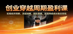 创业穿越周期盈利课:宏观经济洞察、顶层战略、团队搭建,实现持续成长稳定变现-世康聊项目