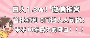 日入1.3w！微信推客，首批红利，未来10年最大的风口，0门槛，人人可做！-世康聊项目